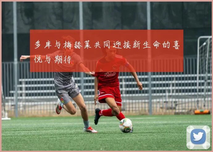 多库与梅赫莱共同迎接新生命的喜悦与期待