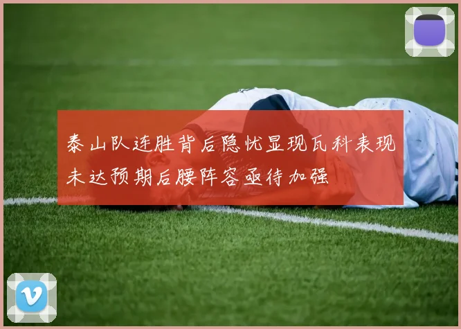 泰山队连胜背后隐忧显现瓦科表现未达预期后腰阵容亟待加强