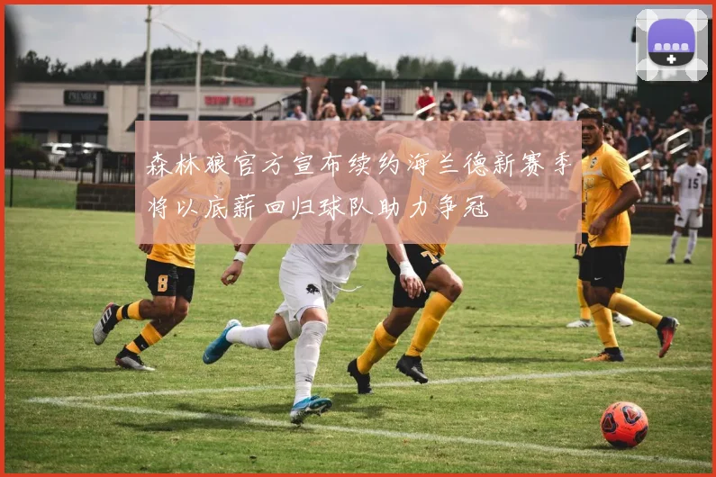 森林狼官方宣布续约海兰德新赛季将以底薪回归球队助力争冠